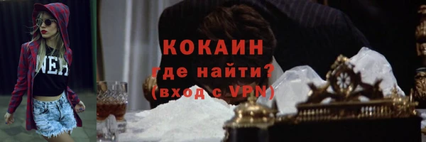 индика Белая Холуница