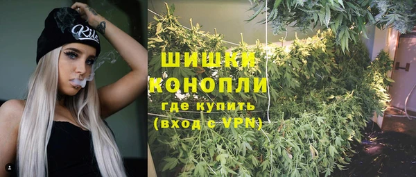 индика Белая Холуница