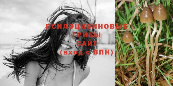 гашиш Ладушкин