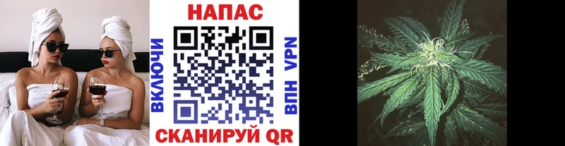 где продают наркотики  Луза  гидра ONION  Шишки марихуана AK-47 